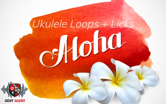 aloha main banner mobile